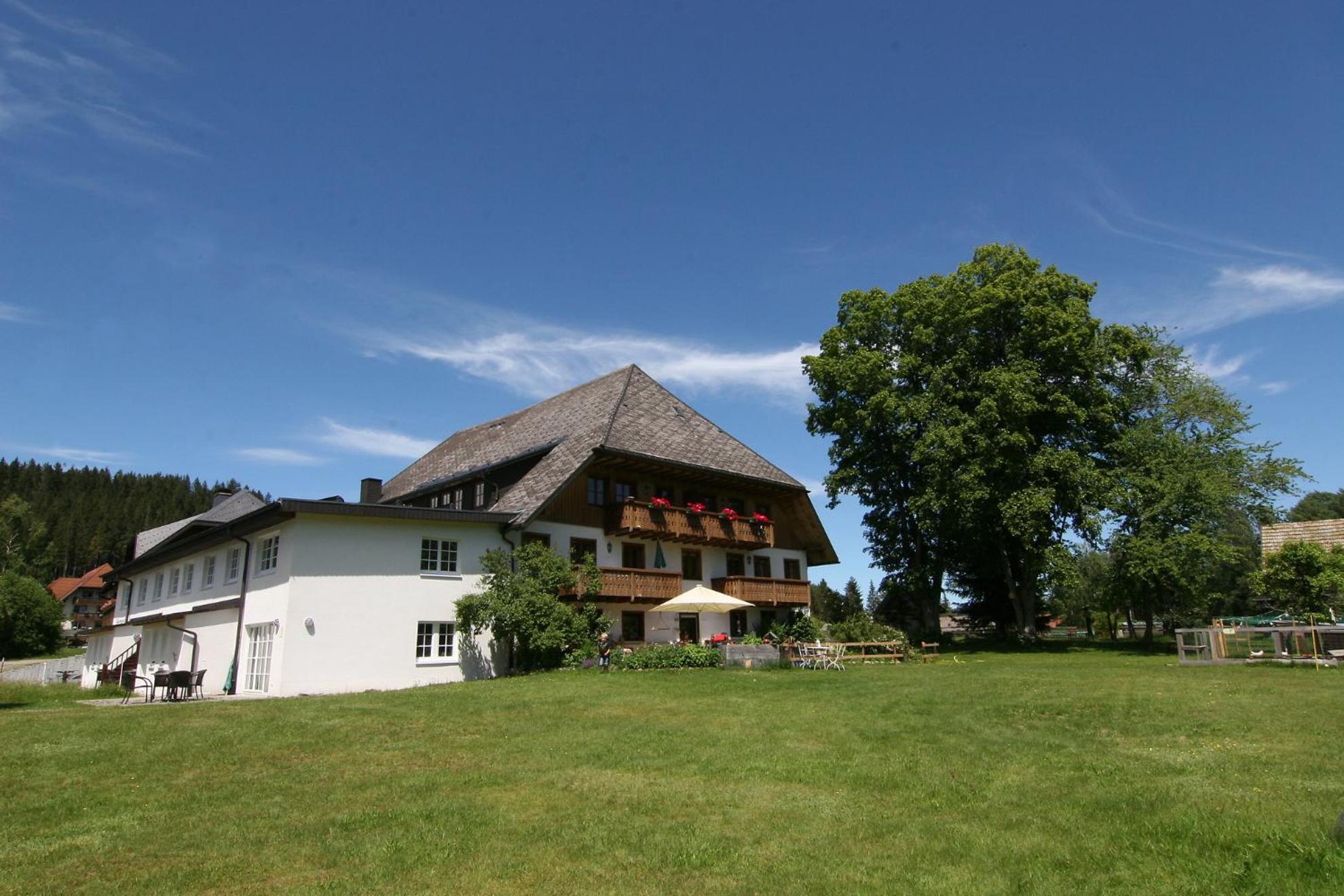 Hermeshof Und Biohaus Titisee-Neustadt Ngoại thất bức ảnh